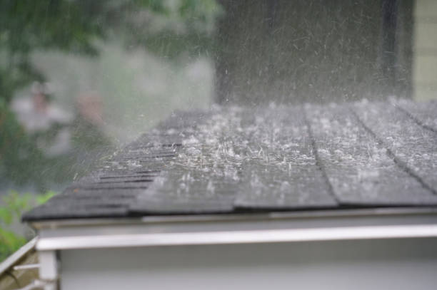 Best Wood Shake Roofing  in Savoy, IL