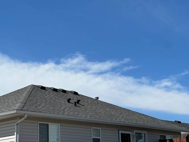 Best Tile Roofing Installation  in Savoy, IL